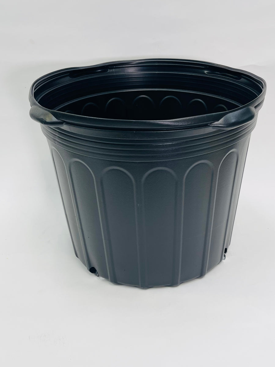 plastic planting tubs Growers Pot 14" – SF Plants