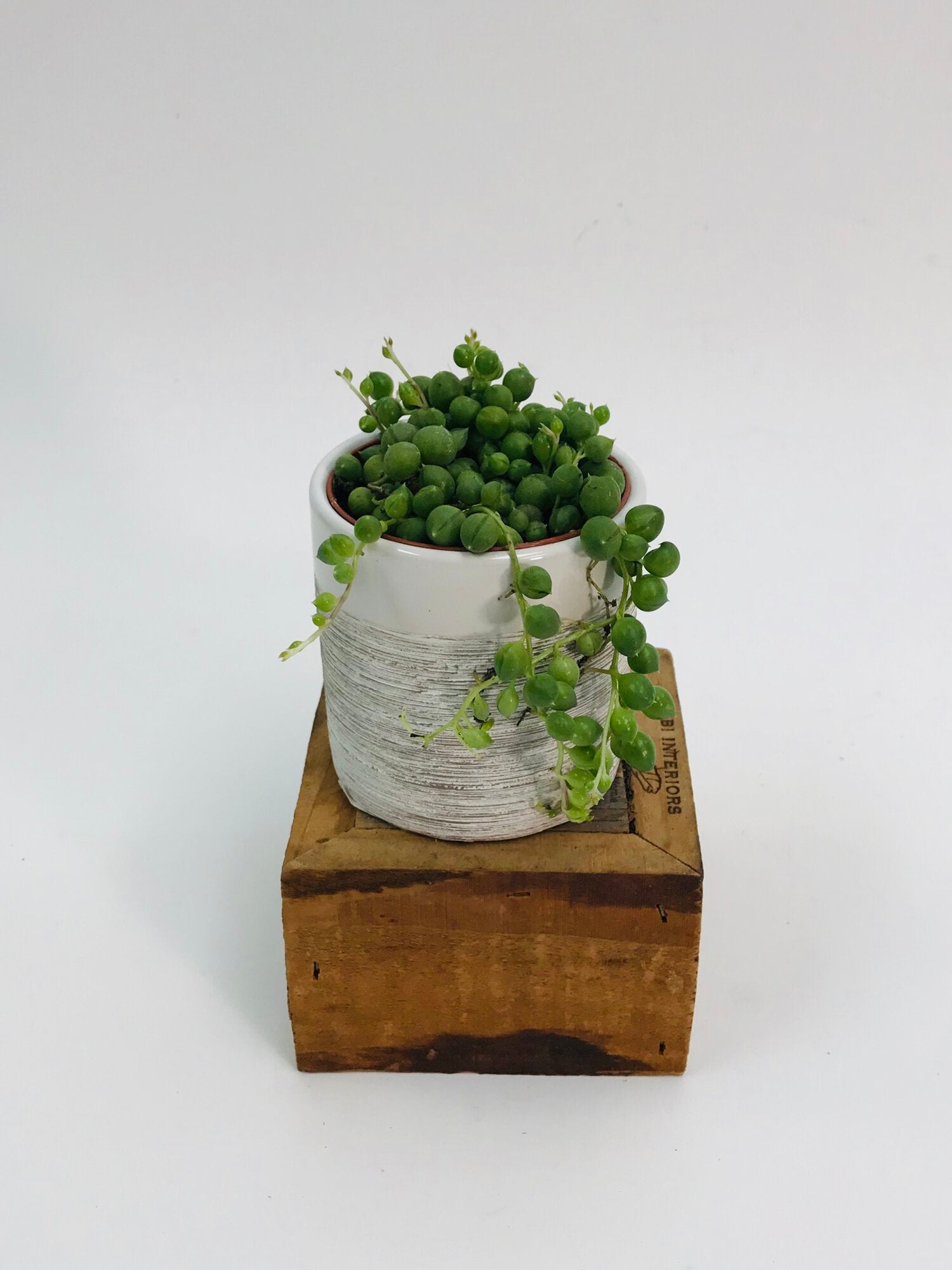 String Of Pearls 2"