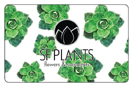sf succulents Gift Card – SF Plants